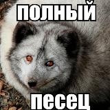 Полный Песец или новый мир???