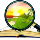 Факты, мемы, опросы