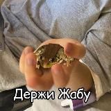 АРХИВГрэйс дурак