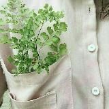 даша харитонова 🍀