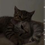 Язычки для тебя🧚♂