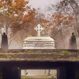 ᴀᴠᴀʟᴏɴ ✚ ᴍᴜsɪᴄ🦄