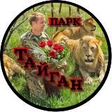 Гадалка