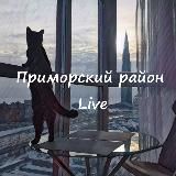 🌉 Приморский район Live