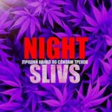 Night_Sliv's✌️ | game over💜