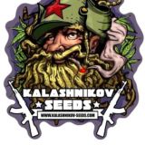 🍁Kalashnikov Seeds🍁
