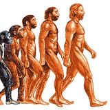 Sapiens. Краткая история человечества