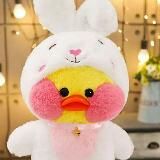 🐥•Идеи для уточек•🐥