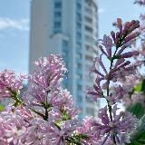 Горский микрорайон Новосибирск