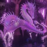 Полные эдиты🐼