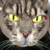 ॐ ᚹᛊᚤᚳⰓᚺᛜᛈᛠⰓ