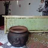 PRO здоровье и мёд