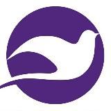 Fly Mir Consulting