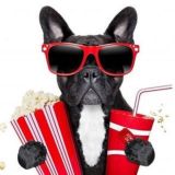 Что Посмотреть🦦Чат🎞