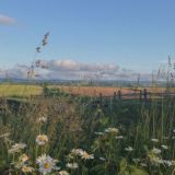 Солнышки 💗