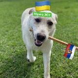 КіноРейтинг 🇺🇦