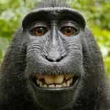 Хорошее настроение Приколы