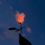 "В чём же счастье?"