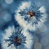 Упаковка блога | reels | smm