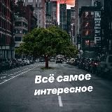 Всё самое интересное