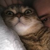 Уютный чатик🥰 EVO✨