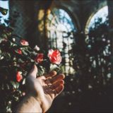 ʟᴏɴᴇʟɪɴᴇss🖤