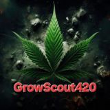 GrowScout420Chat