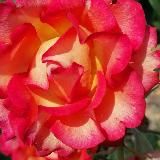 Симорон. Исполнение желаний. Аффирмации