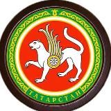 Мобилизация в Татарстане