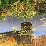 tropical saint petersburg