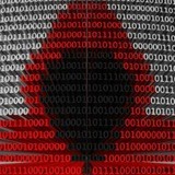 ПроБиз