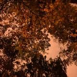 Мир глазами 👀 Zanillaven 🥇