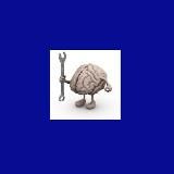 МОЗГ: РУКОВОДСТВО ПО ЭКСПЛУАТАЦИИ.