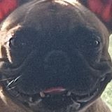 Убийца Пеппа