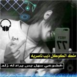 مضيف ذيب الناصريه النسخه الصليه