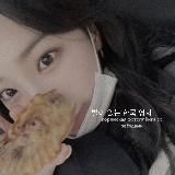 STRAYKIDS на каждый день