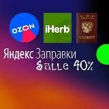 Яндекс баллы