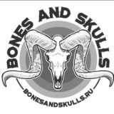 Bones and Skulls