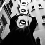 Куничий лес