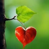 Вдохновение🎄❄️⛄️