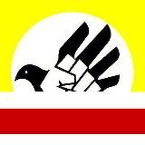 Канал Свободные люди Воронежа