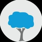 Медитации | Вебинары🌳Всё едино (vseedino.ru)
