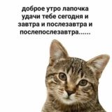 твой чат