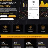 INSTATRADE.CC LTD INVESTMENT COMPANY