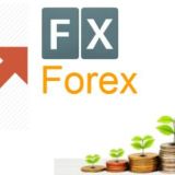 Green Pips Traders