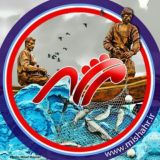 گروه می شهر