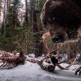 Бизнес истории