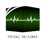 Пульс Ислама