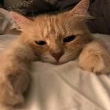 Cozy corner | Уютный уголок