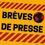 Brevesdepresse